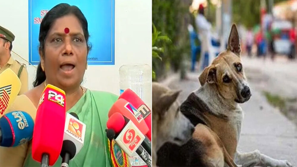 Minister Chinchu Rani says dogs attack due to starvation